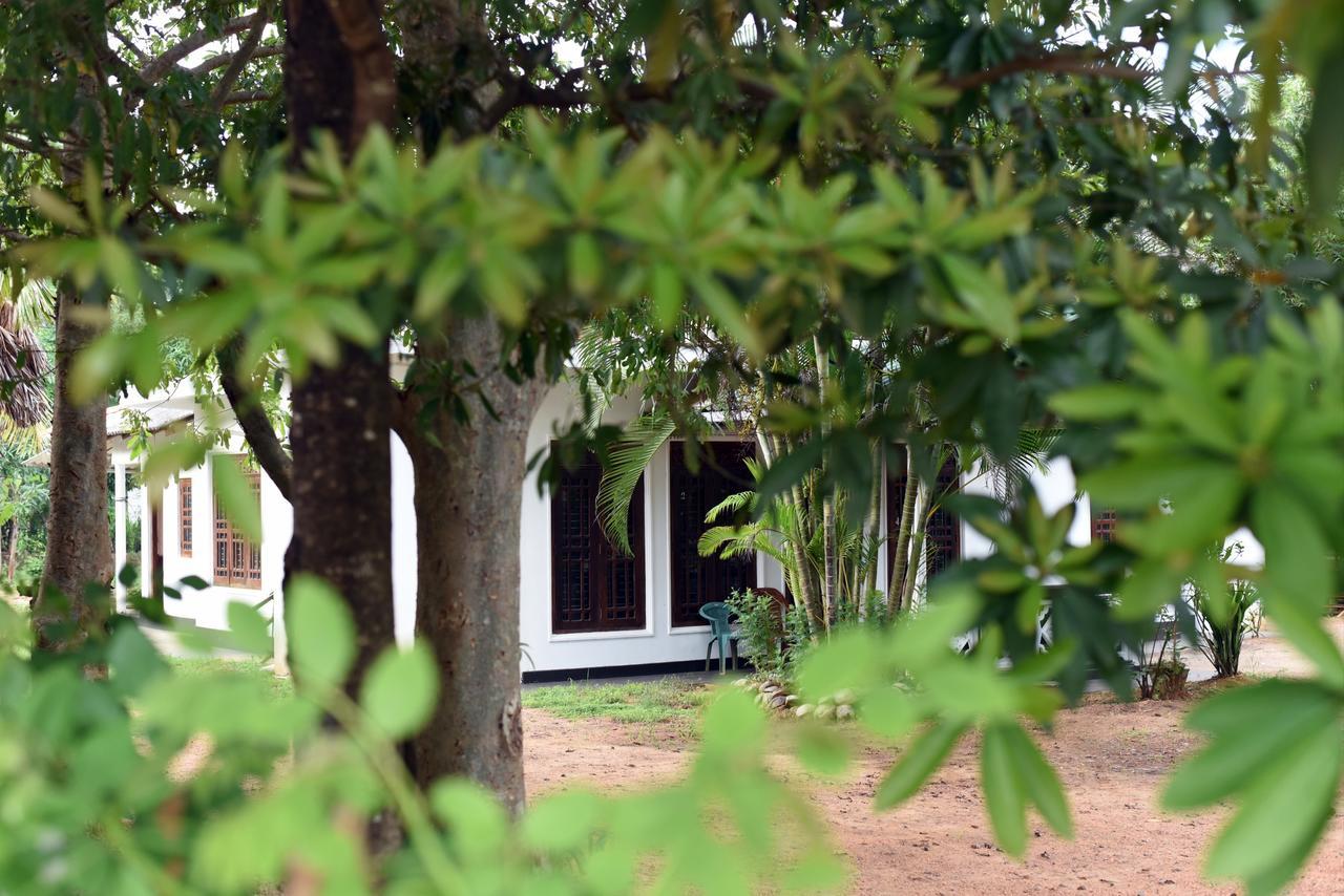 Sun&Green Eco Lodge - Dambulla Esterno foto