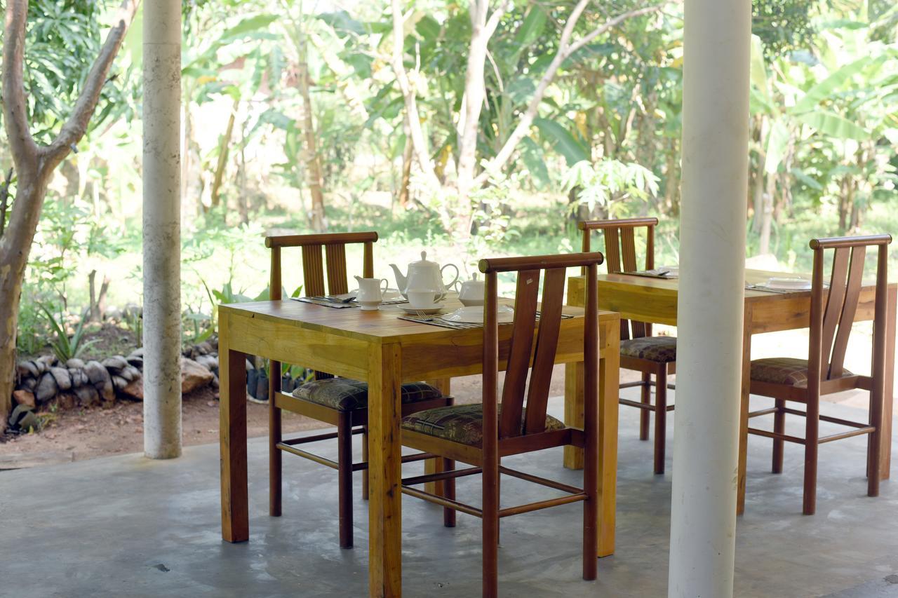 Sun&Green Eco Lodge - Dambulla Esterno foto
