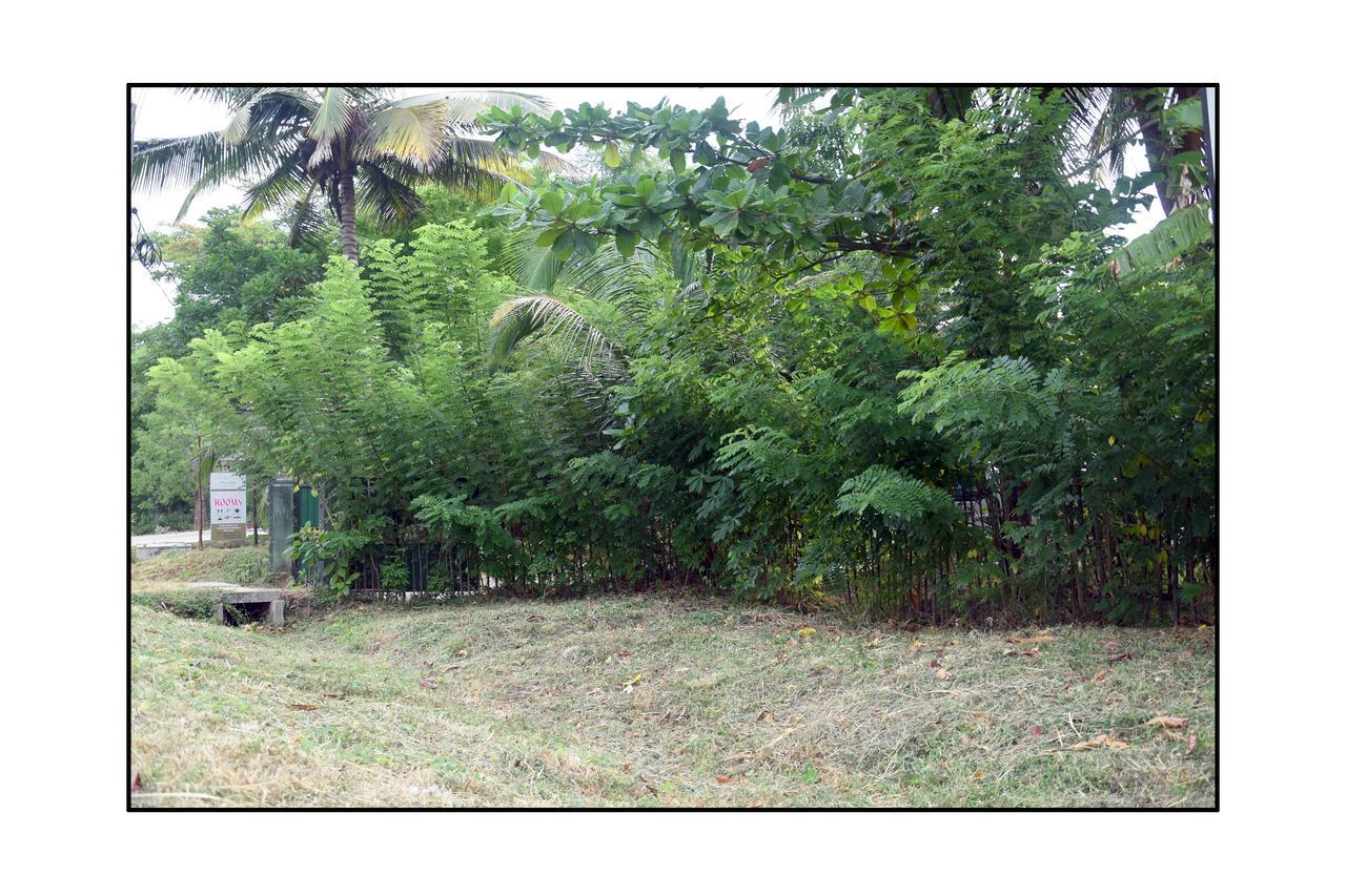 Sun&Green Eco Lodge - Dambulla Esterno foto