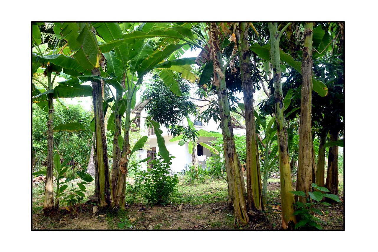 Sun&Green Eco Lodge - Dambulla Esterno foto