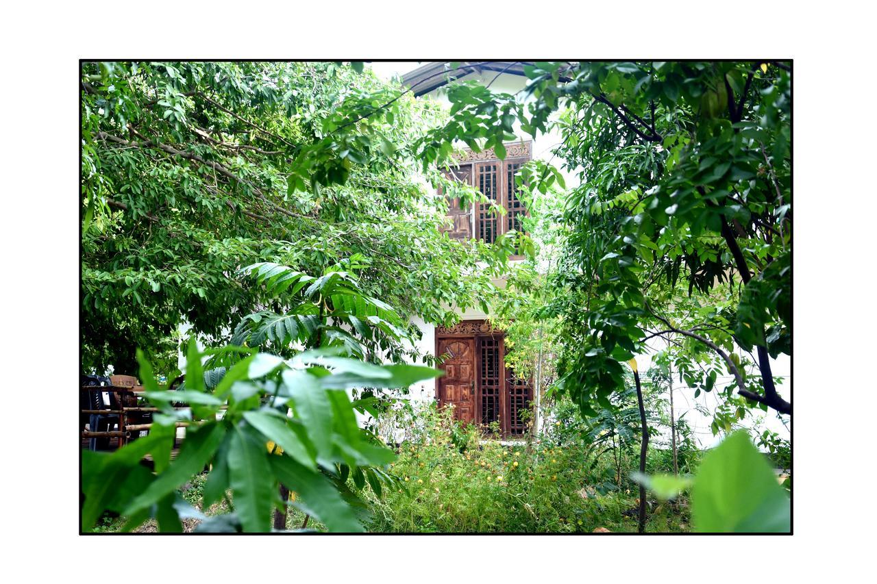 Sun&Green Eco Lodge - Dambulla Esterno foto