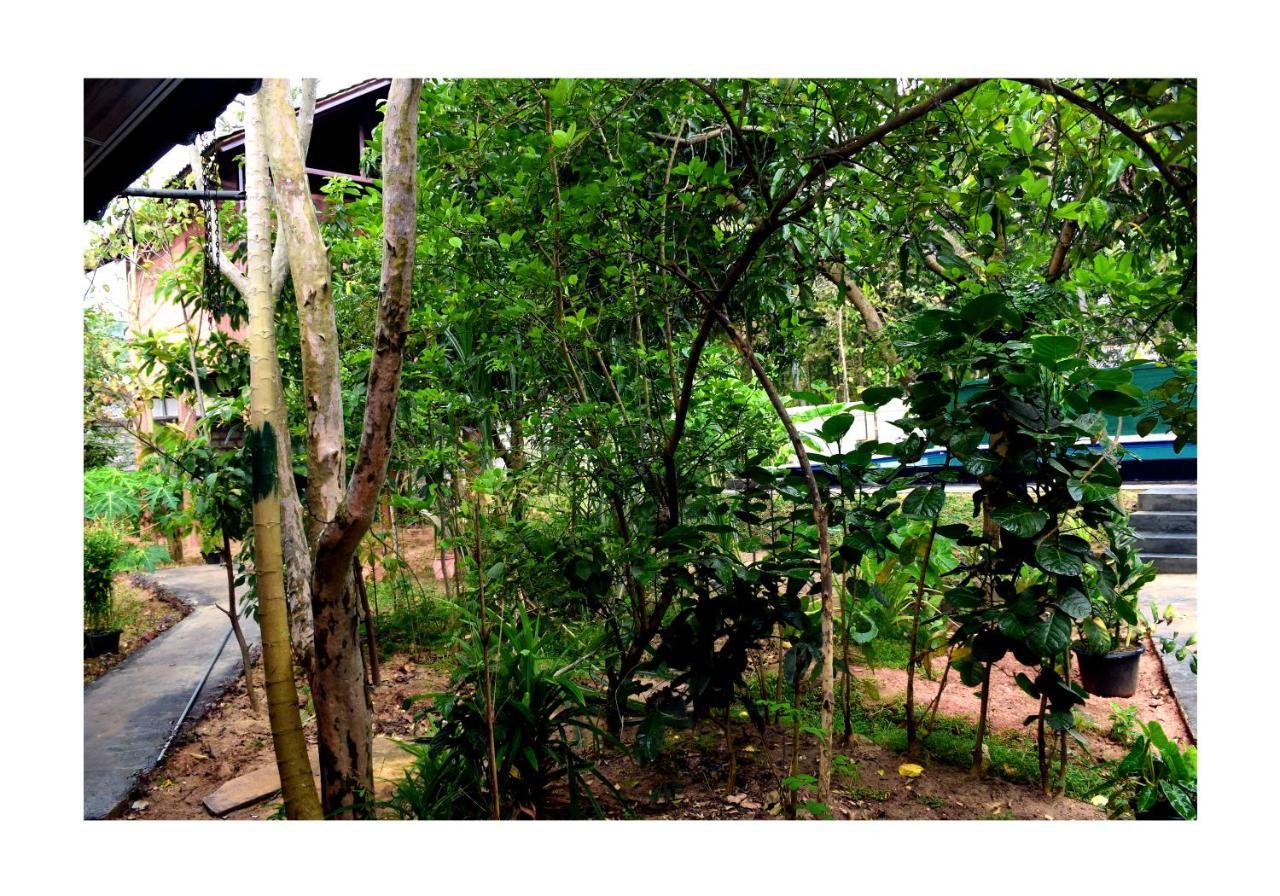 Sun&Green Eco Lodge - Dambulla Esterno foto