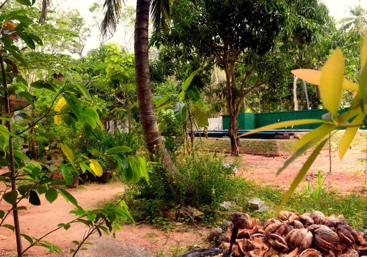 Sun&Green Eco Lodge - Dambulla Esterno foto