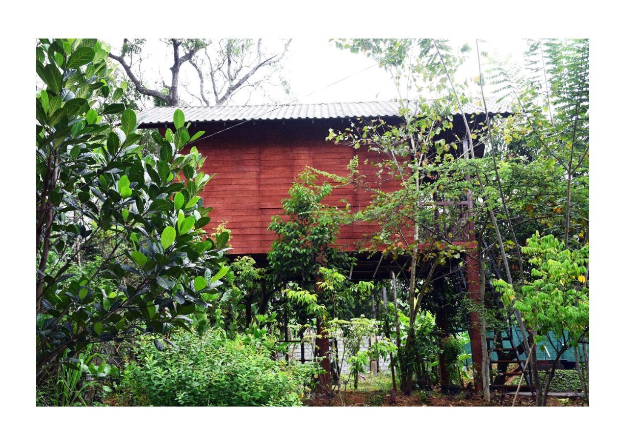 Sun&Green Eco Lodge - Dambulla Esterno foto