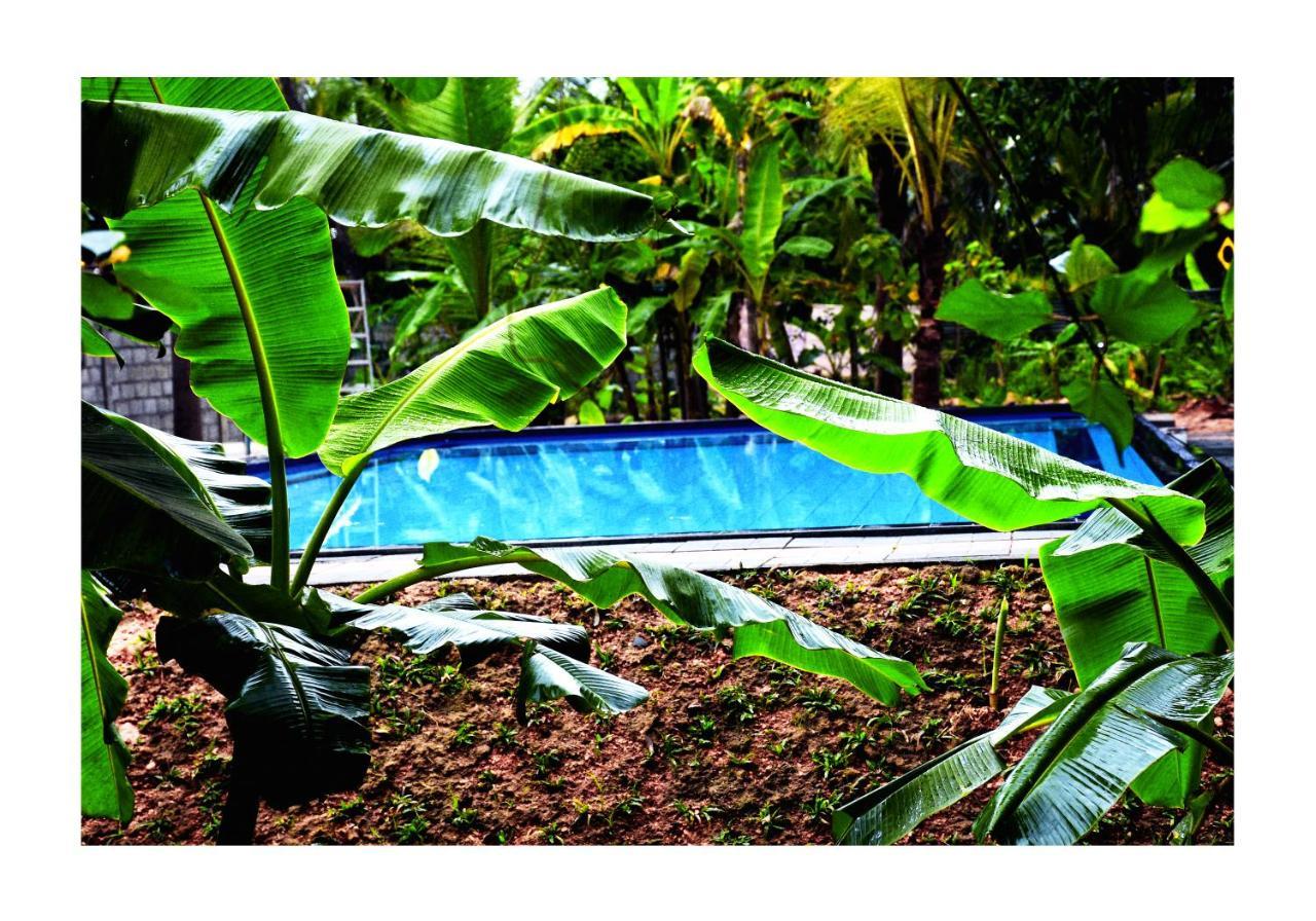 Sun&Green Eco Lodge - Dambulla Esterno foto