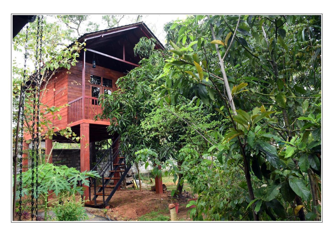 Sun&Green Eco Lodge - Dambulla Esterno foto