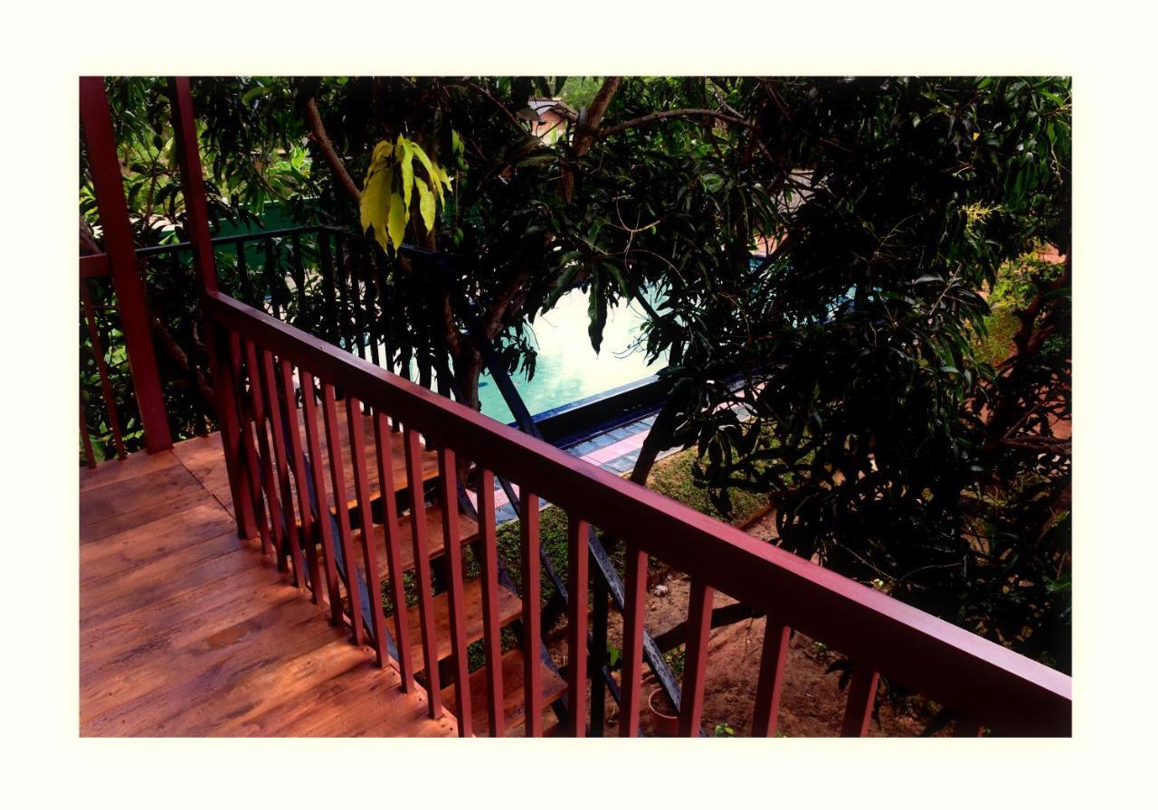 Sun&Green Eco Lodge - Dambulla Esterno foto