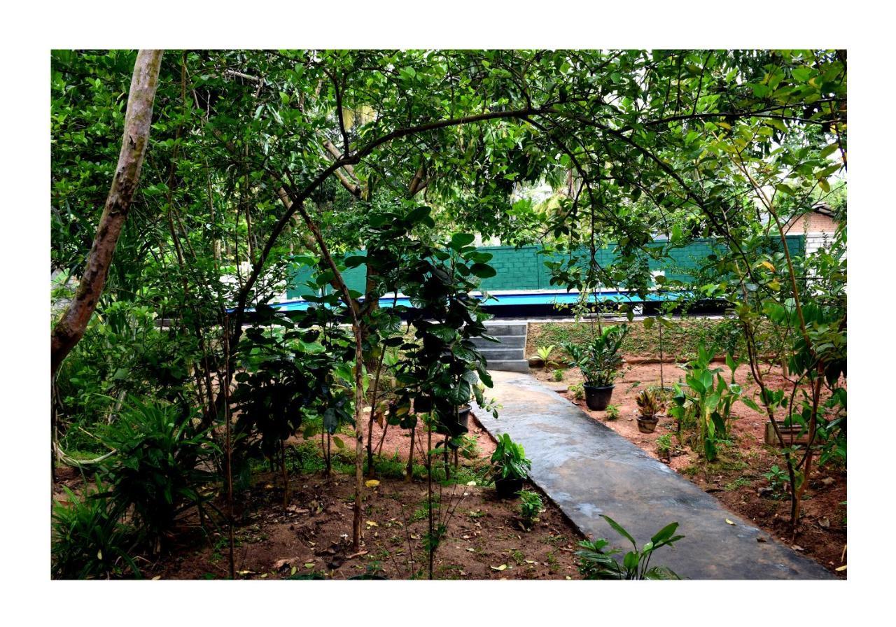 Sun&Green Eco Lodge - Dambulla Esterno foto