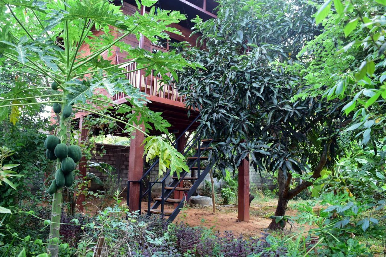 Sun&Green Eco Lodge - Dambulla Esterno foto