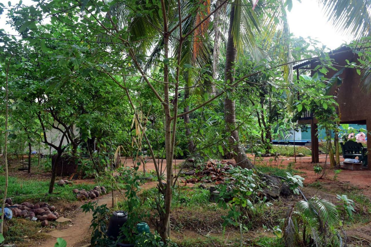 Sun&Green Eco Lodge - Dambulla Esterno foto